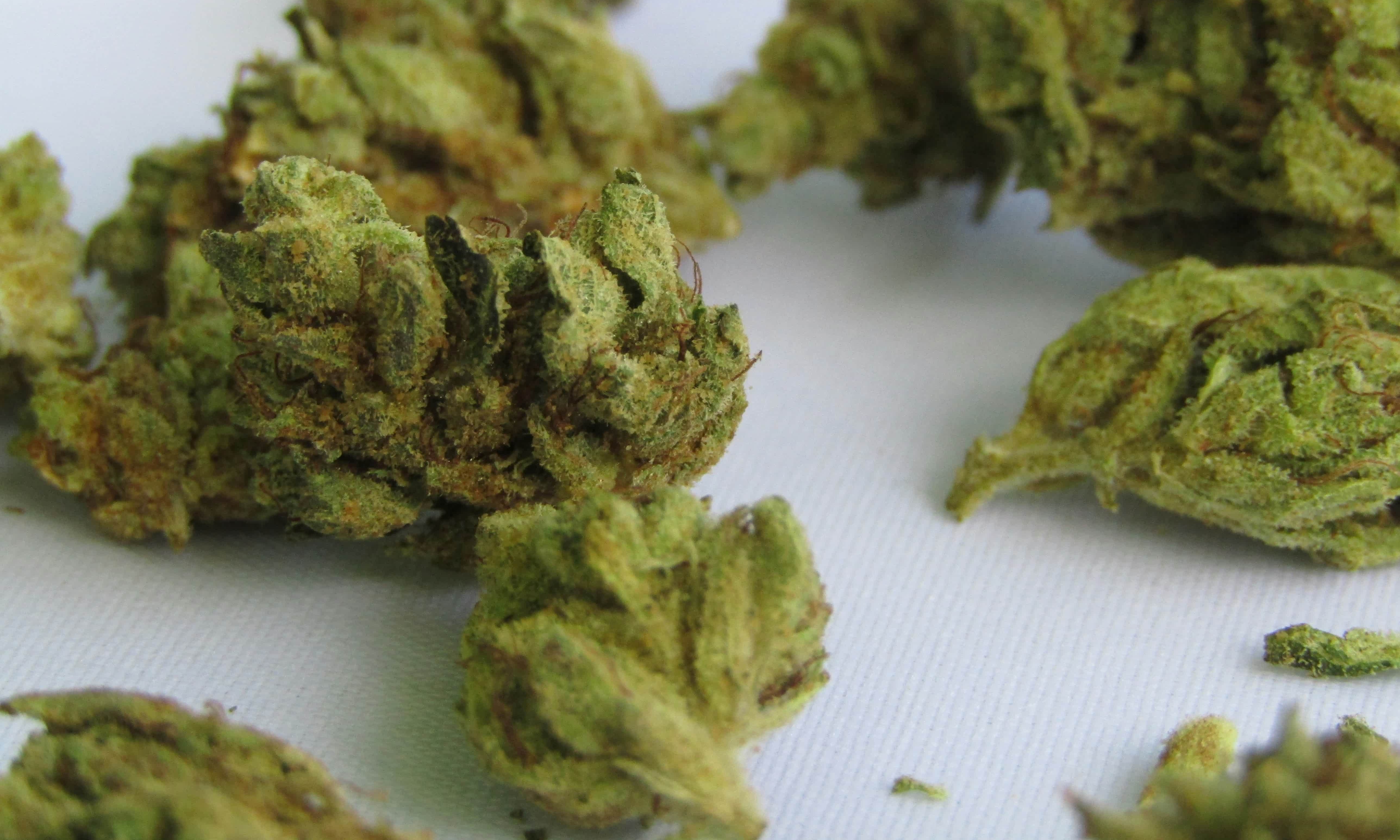 ndispensable-zwc6BD4_RDE-unsplash2x