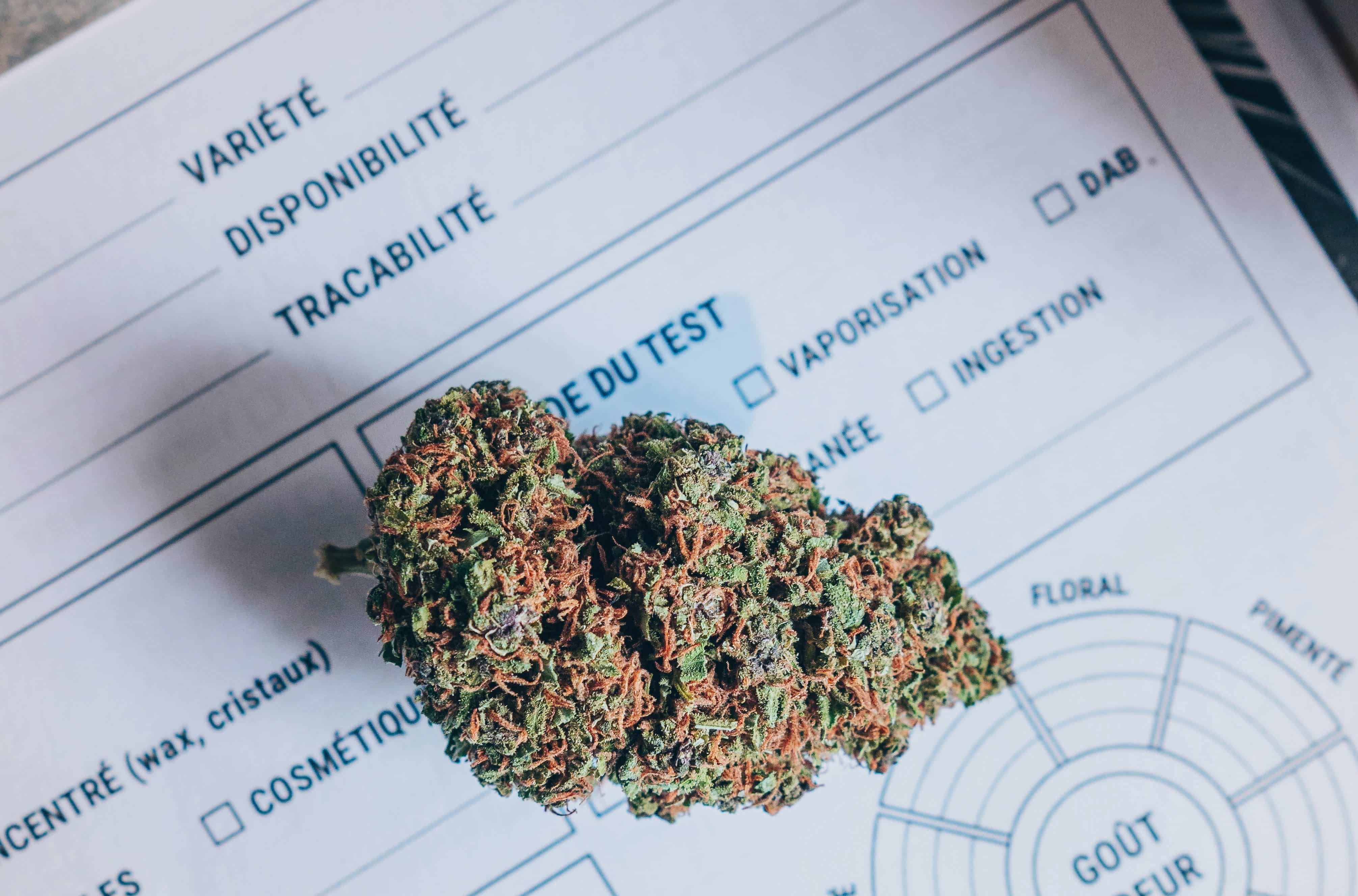 testeur-de-cbd-sEAP7klTxsk-unsplash2x (1)